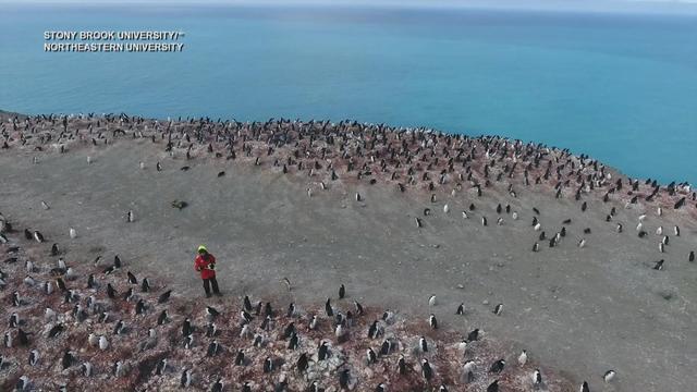 0125-satmo-antarcticaresearch-saberi-2014624-640x360.jpg 
