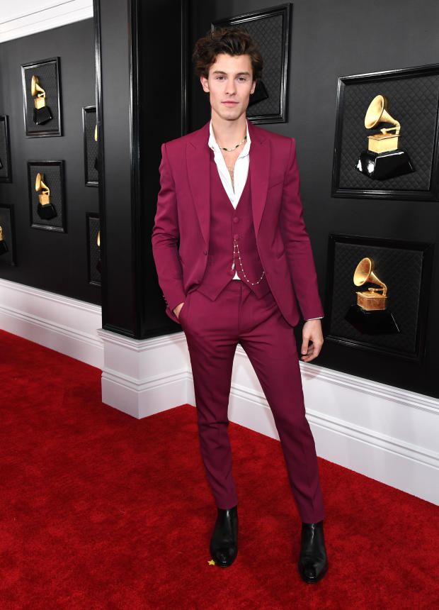 62nd Annual GRAMMY Awards – Red Carpet 