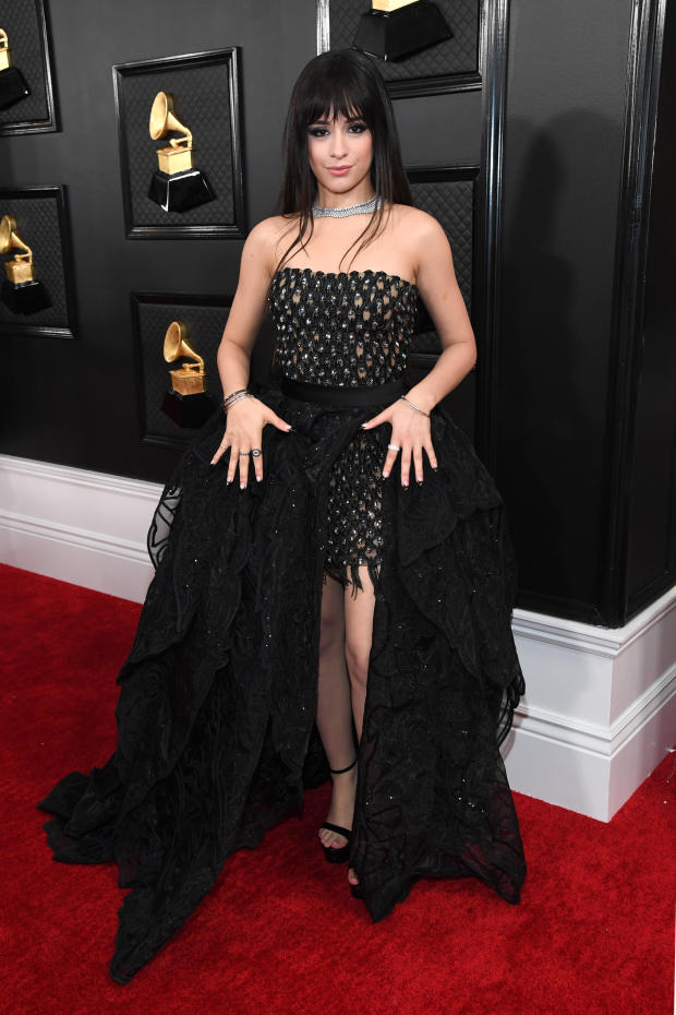 62nd Annual GRAMMY Awards – Red Carpet 
