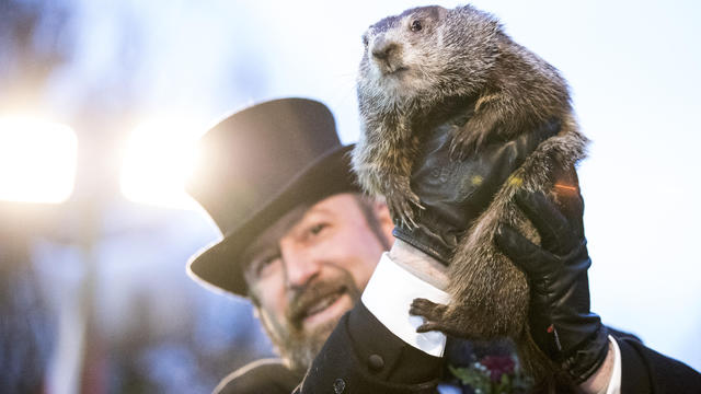 "Punxsutawney Phil" Makes Annual Winter Prediction On Groundhog Day 
