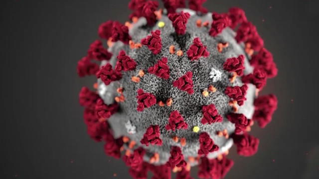coronavirus.jpg 