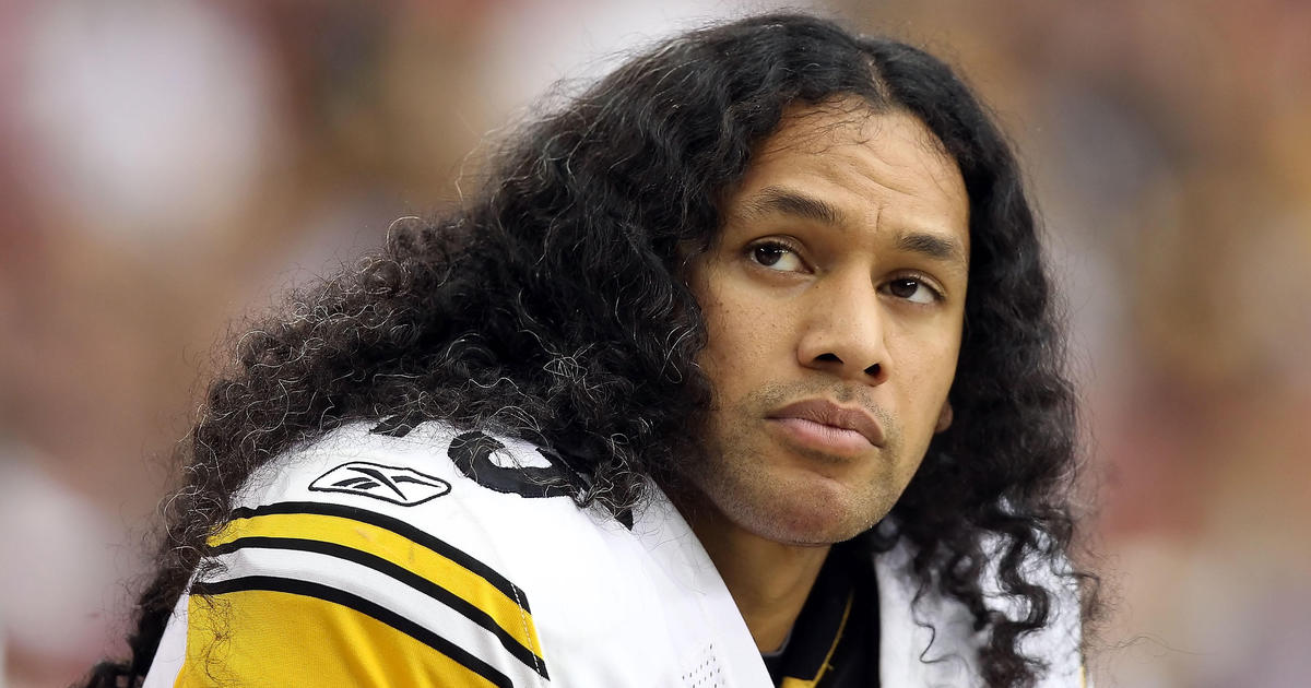 Troy Polamalu Highlights Hall of Fame Class - The New York Times