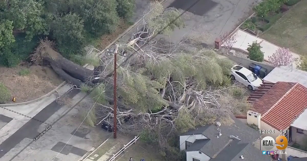 Gusty Winds Bring Down Trees, Cause Power Outages All Over SoCal - CBS