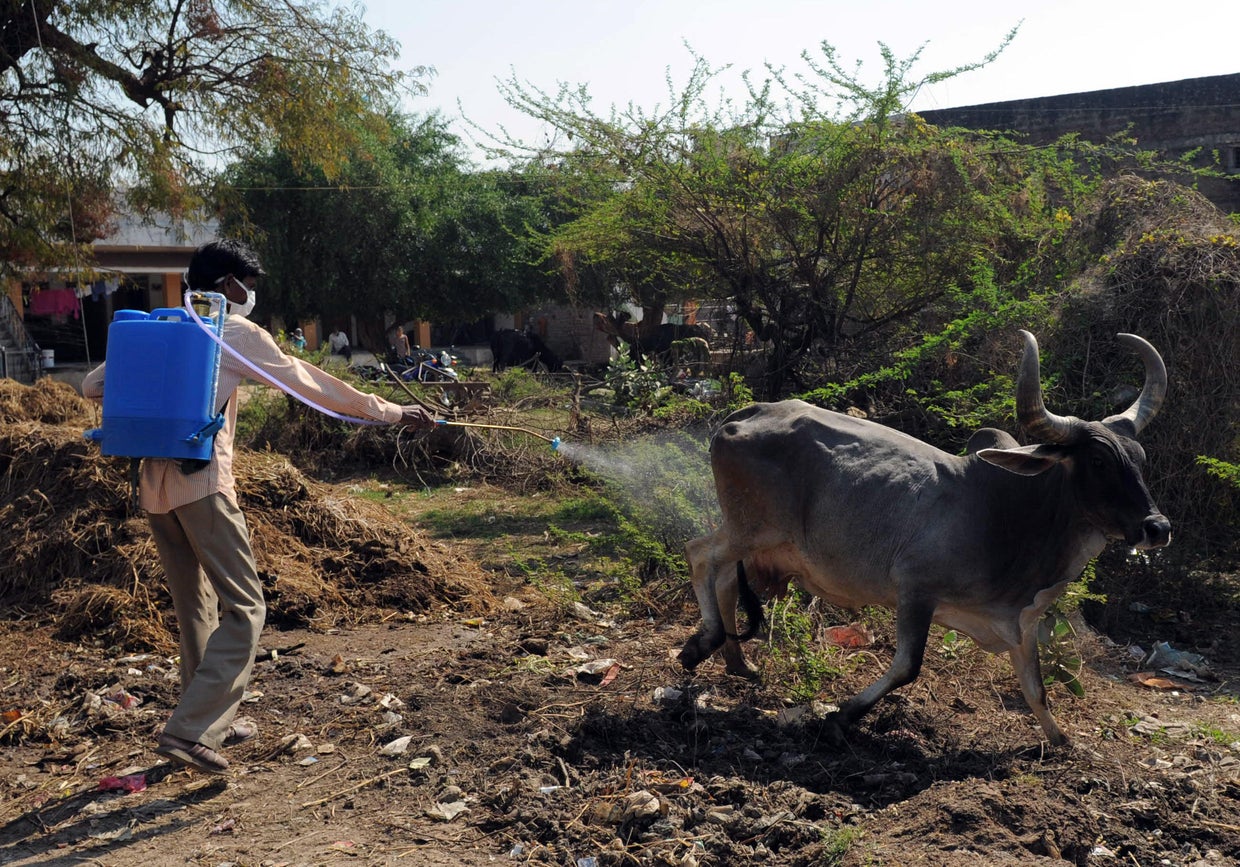 An Indian worker from the Ahmedabad Dist 