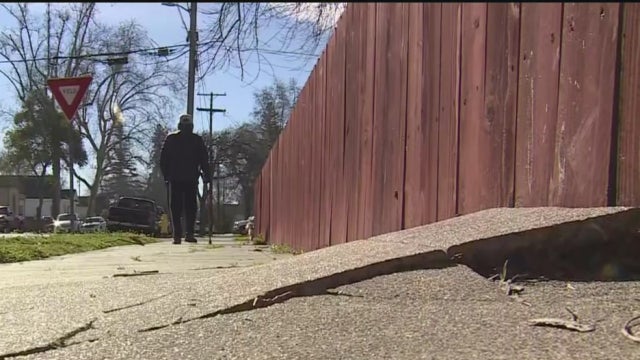 WOODLAND-SIDEWaLKS.jpg 
