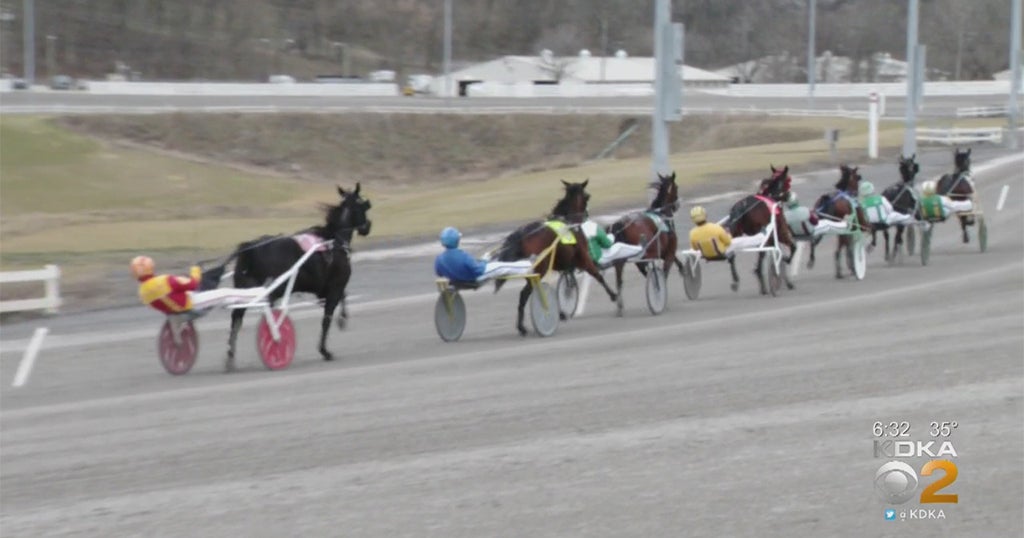 'It Will Be The End': Race Horse Industry Upset After Gov. Wolf ...