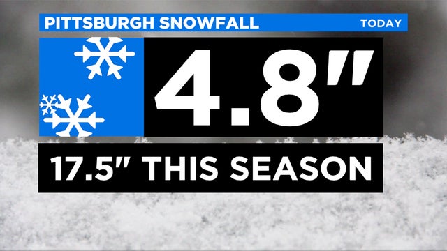 snowfall.jpg 
