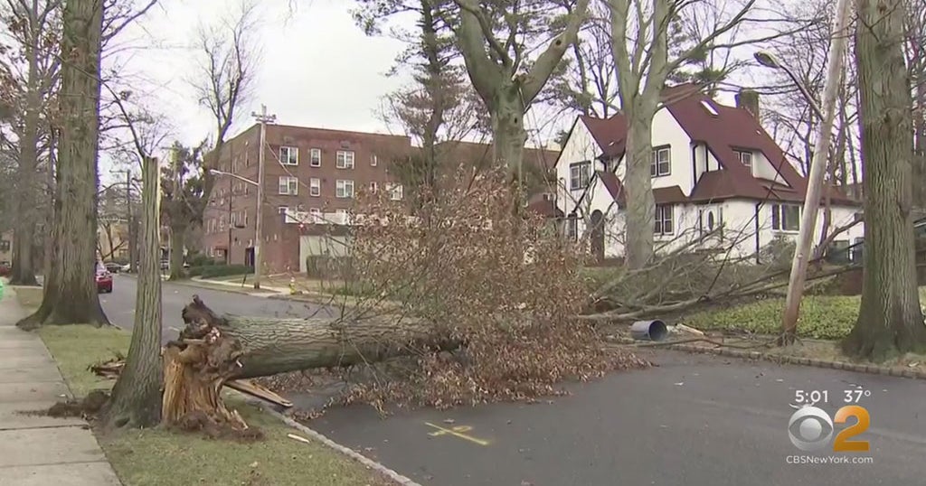 Wind Storm Brings Down Trees, Power Lines Throughout New York Area ...