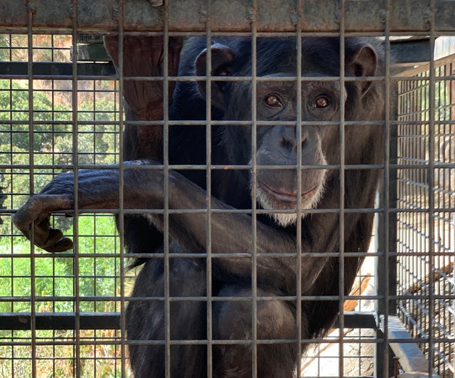 Susie at Wildlife Waystation 