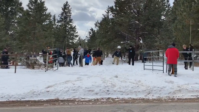 Gannon Stauch GANNON SEARCH 5VO_frame_129 