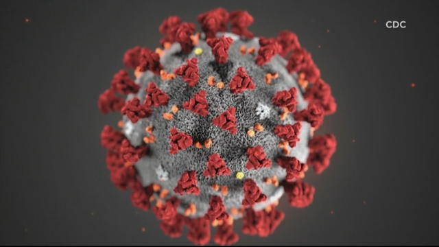 coronavirus-cdc.jpg 