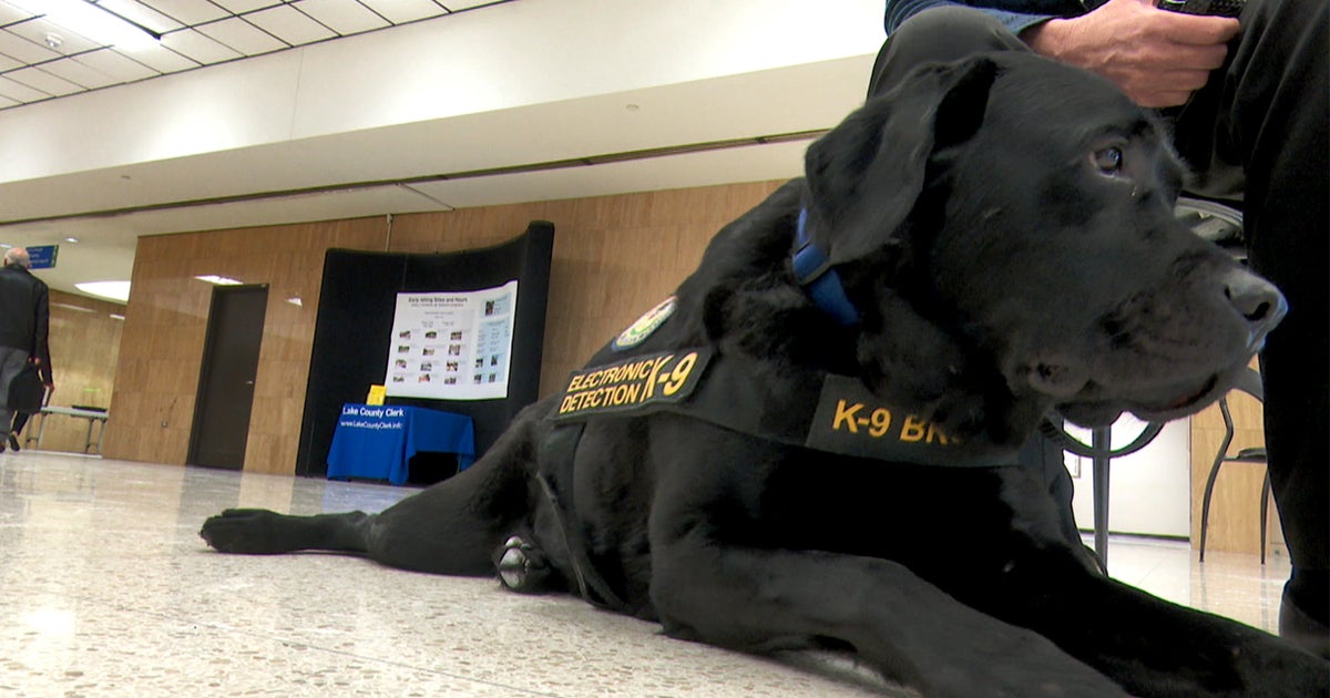 Meet Browser, The ElectronicsSniffing Dog Who's Helping Lake County