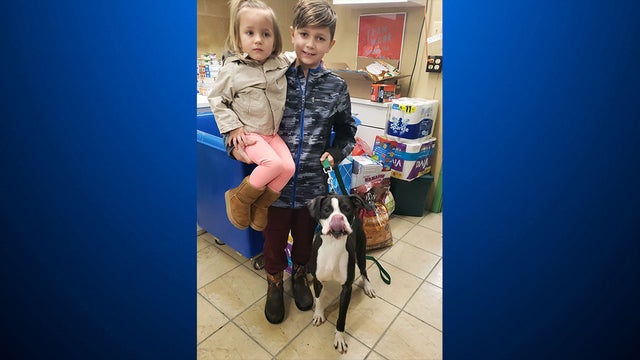 conner-anna-animal-shelter.jpg 