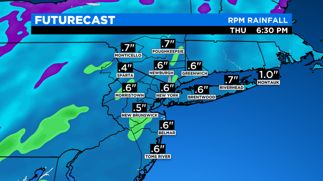 SkyCast FutureCast Rainfall RPM 