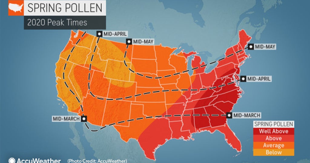 'Brutal' Allergy Season Expected For Western Pa. This Spring - CBS ...