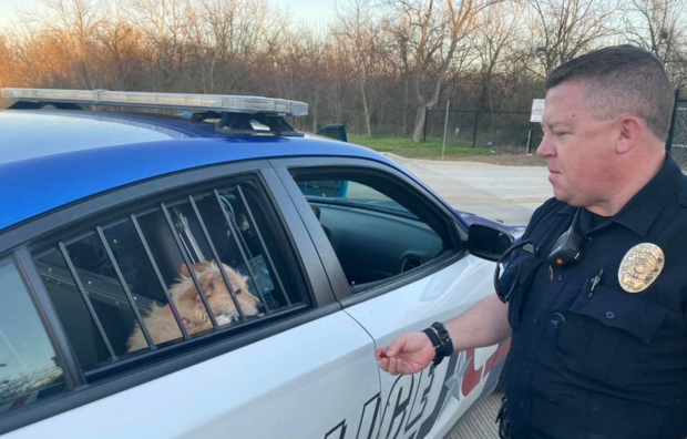 Rescued dog and Arlington Police officer 