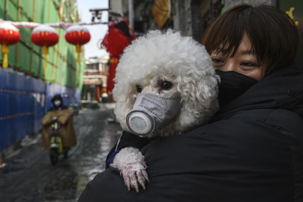 Concern In China As Mystery Virus Spreads 