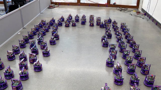 Northwestern_Swarm_Robots_0302.jpg 