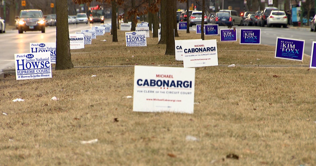44 Campaign Signs For Just 3 Candidates Mounted On Median Strip Of