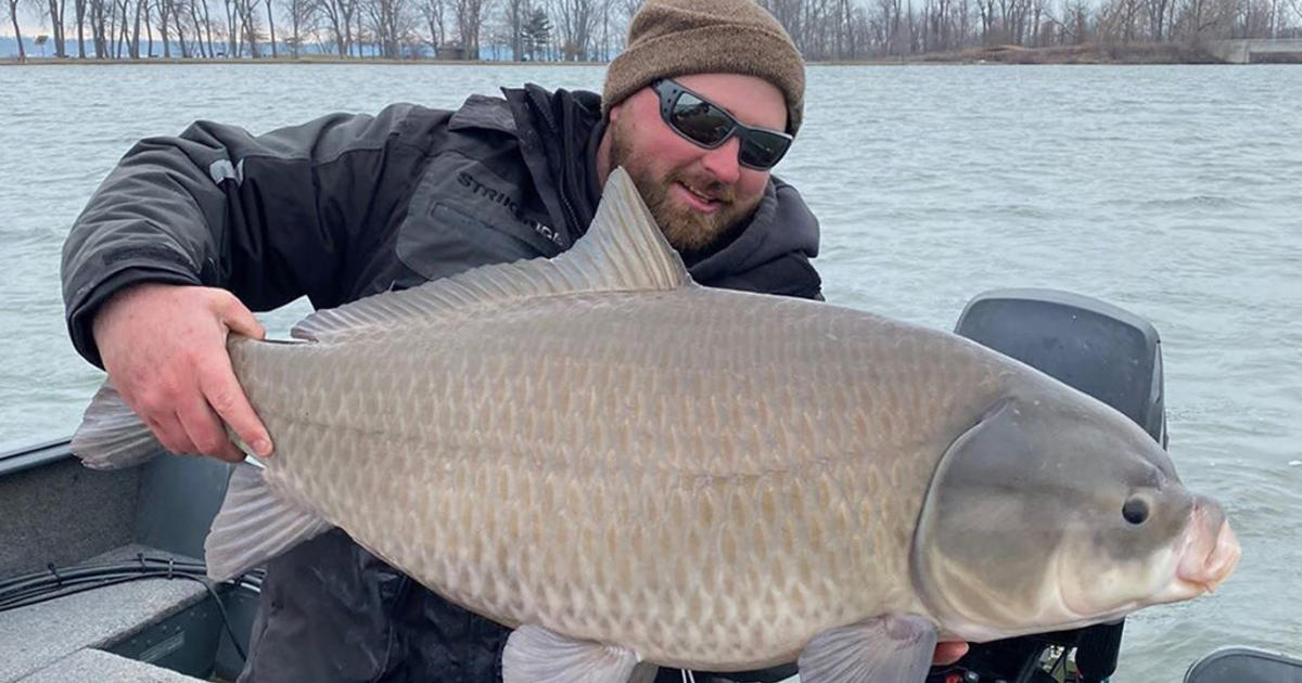 Erie Man Catches Giant 40-Pound Endangered Fish, That Can Live Up