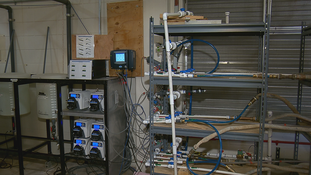 DENVER WATER PH LEVELS VO.transfer_frame_840 