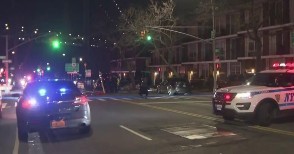 Man Struck By Car, Killed While Walking Dog In Brooklyn - CBS New York