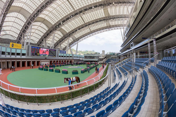 Horse Racing in Hong Kong - Sha Tin Racecourse 