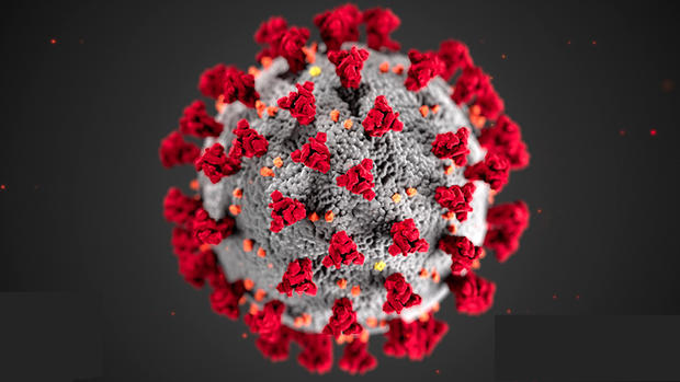 coronavirus outbreak generic 