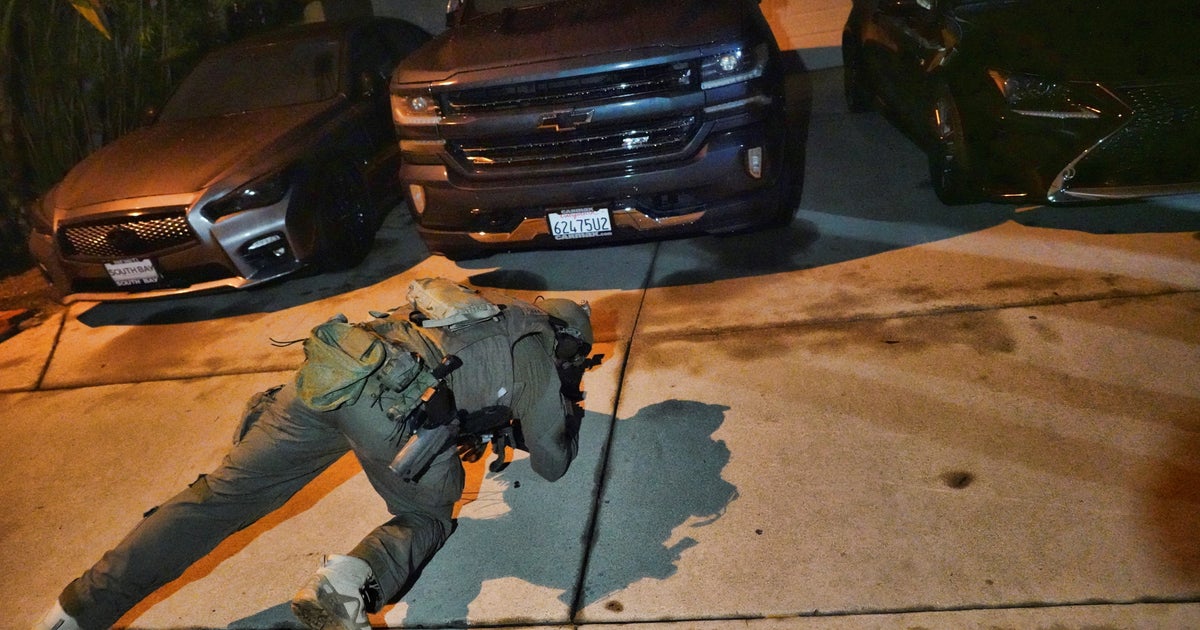DEA's 'Project Python' Nets One Of The Largest Drug-Related Arrests In ...