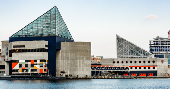 Coronavirus Closings National Aquarium Extends Closure Through April