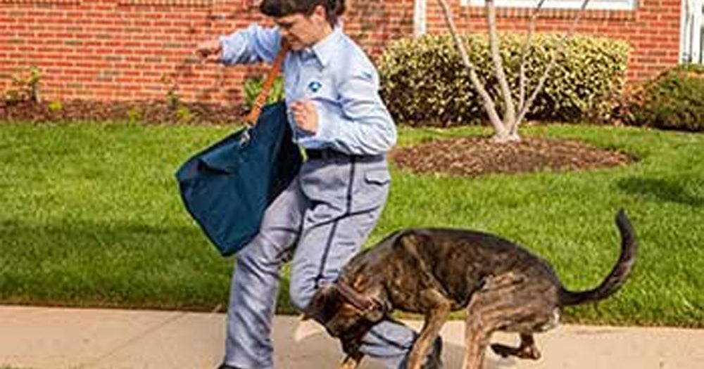 Coronavirus Could Indirectly Lead To Increased Dog Bites For Letter