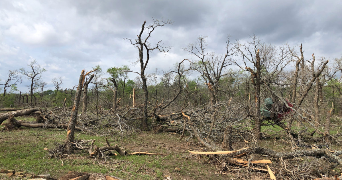 National Weather Service Confirms 7 Tornadoes Touched Down In North ...