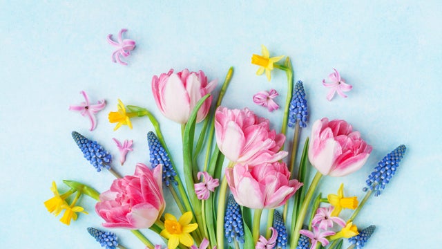 Bouquet of beautiful spring flowers on pastel blue table top view. Greeting card for International Women Day. 