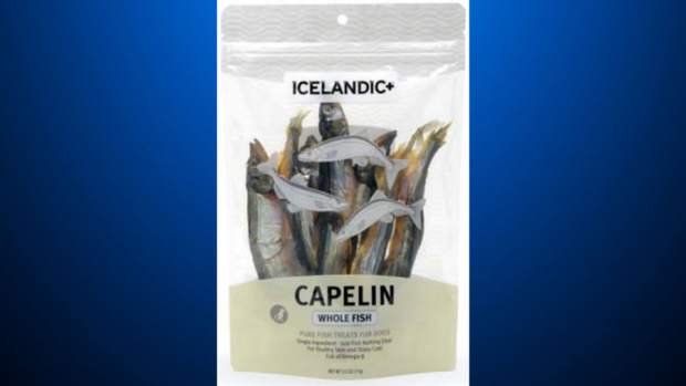 icelandic capelin pet treats recall 