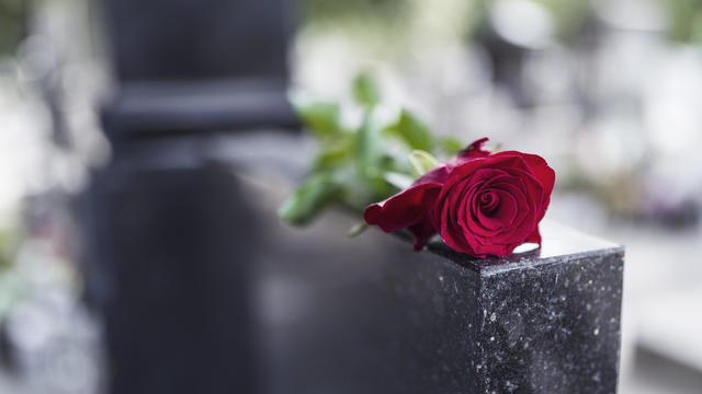 Red rose on grave 