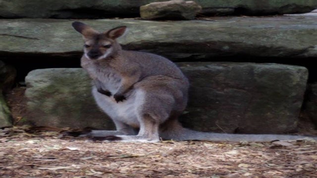 kristin emery vacation 