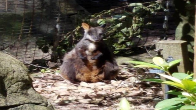 kristin emery vacation 