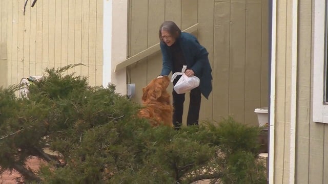 DOGS HELP NEIGHBORS 5VO.transfer_frame_566