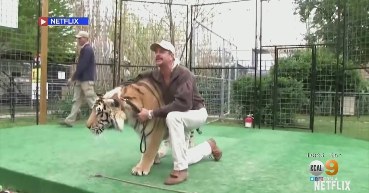 Netflix Docuseries 'Tiger King' Reigns Supreme In Era Of Social ...