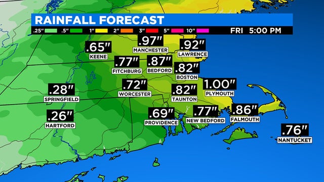 rainforecast.jpg 