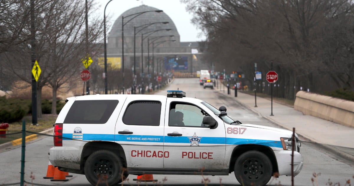 Highly Decorated Chicago Police Officer Dies As Coronavirus Takes Toll ...