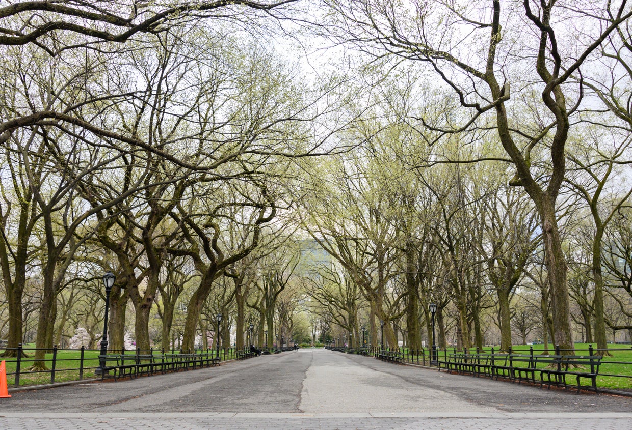 Major Cities In The U.S. Adjust To Restrictive Coronavirus Measures 