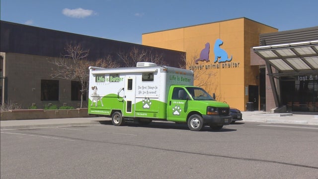 FOSTER FAMILIES FOR DOGS PKG.transfer_frame_477 