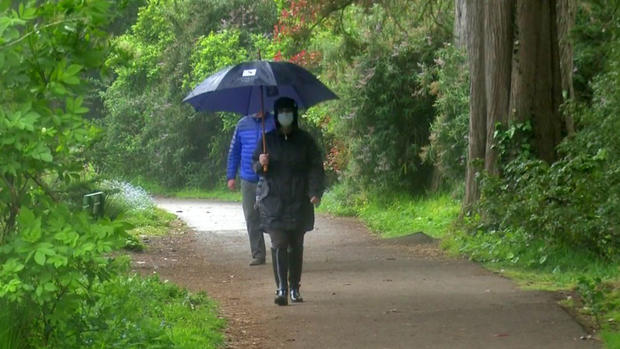 Walking in the Rain in Golden Gate Park 