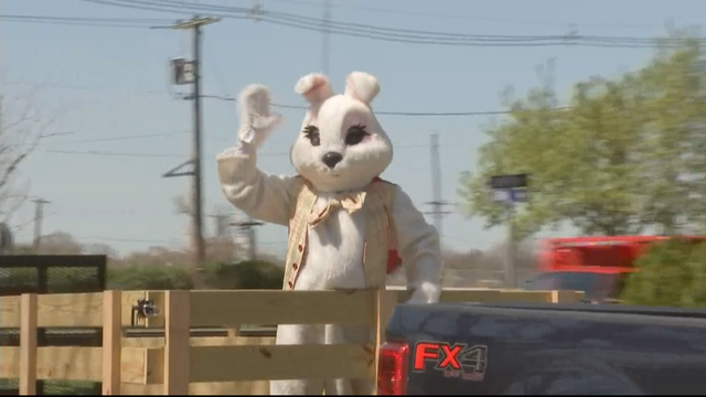 collingswood-easter-bunny.png 