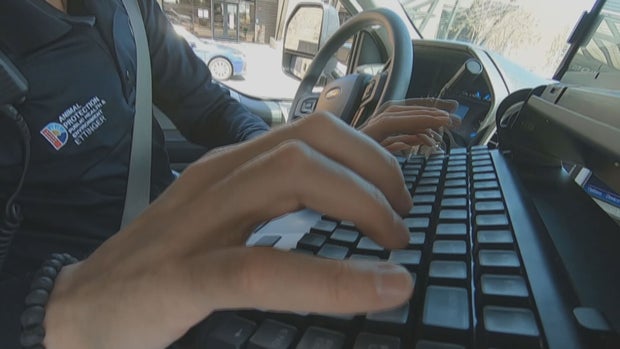 AT HOME DOG BITES 6PKG.transfer_frame_471 