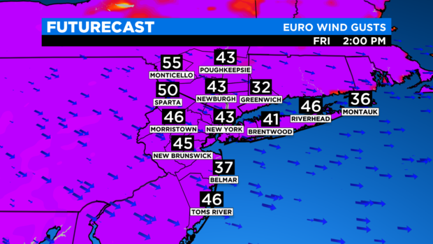 SkyCast FutureCast Wind Gusts EURO 