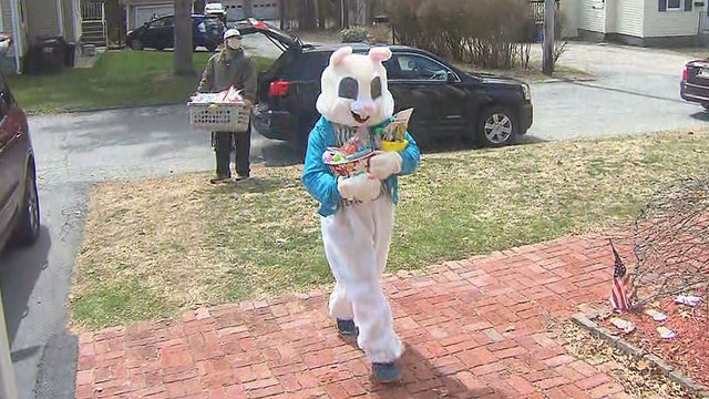 bunny.jpg 