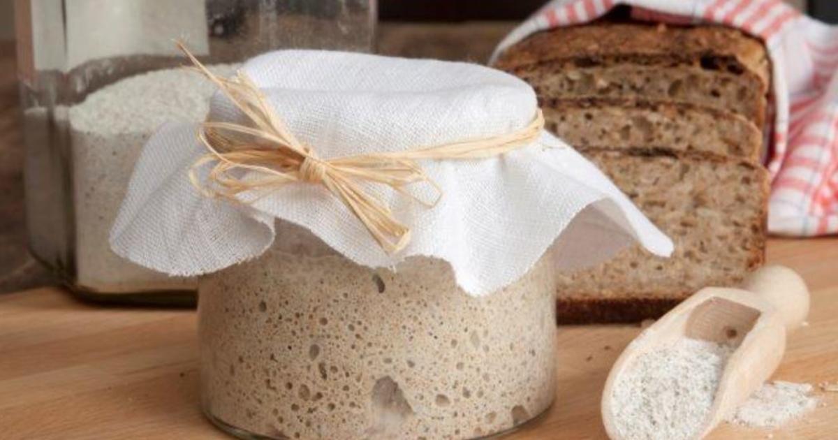 How to Make a Sourdough Starter - Lion's Bread