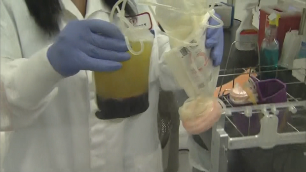 COVID PLASMA PKG_frame_1432 